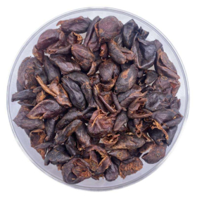 Cascara BIO